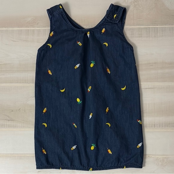 Hanna Andersson Chasing Summer Chambray Embroidered Popover Top Size 160cm 14-16 - Picture 1 of 7